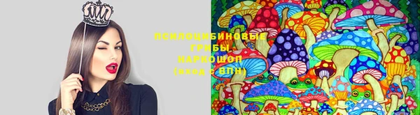 бошки Алзамай