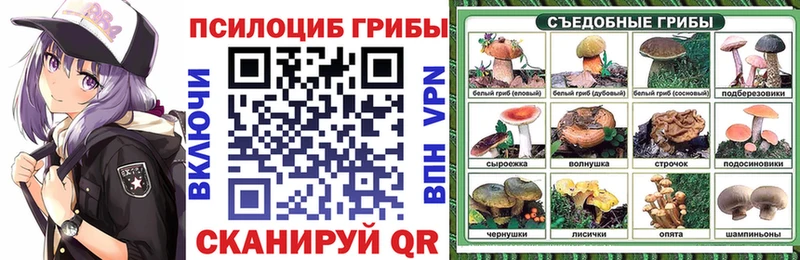 Галлюциногенные грибы GOLDEN TEACHER  blacksprut рабочий сайт  shop состав  Амурск 